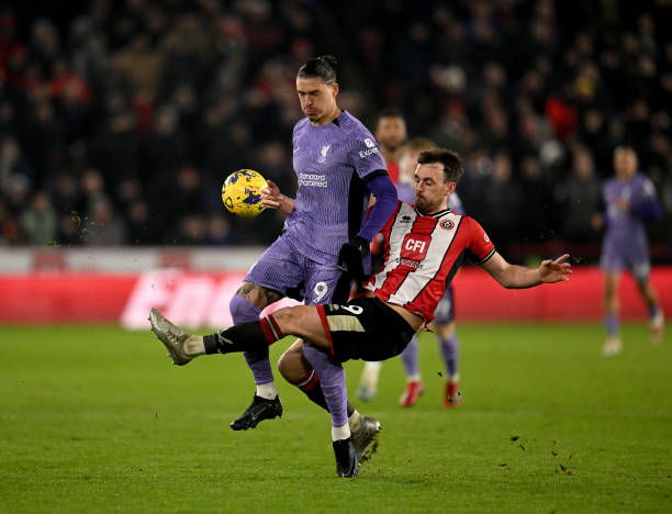 艳的反击 艳的反击